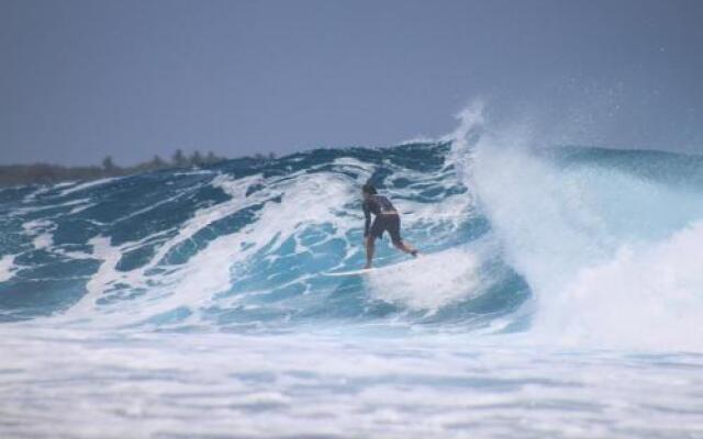 Serene Blue Bowls Surf Inn