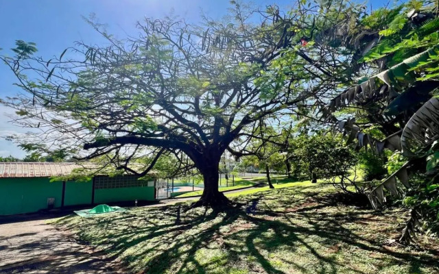 Le Privilège appartement standing, piscine, terrasse, jardin, parking