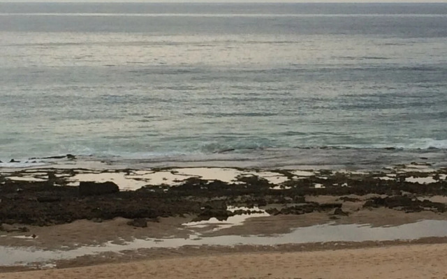 Mango Beach Lodge
