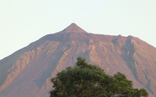 Casas Alto da Bonança