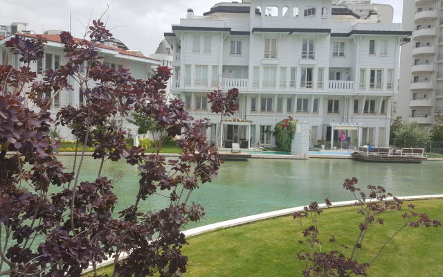 Dream Of Holiday