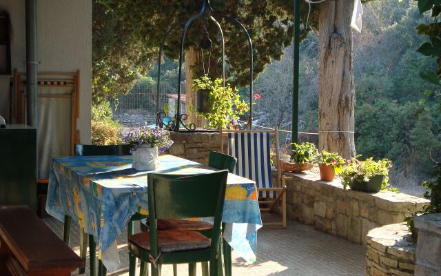 Holiday house Sunce - relaxing & quiet: Maslinica, Island Solta
