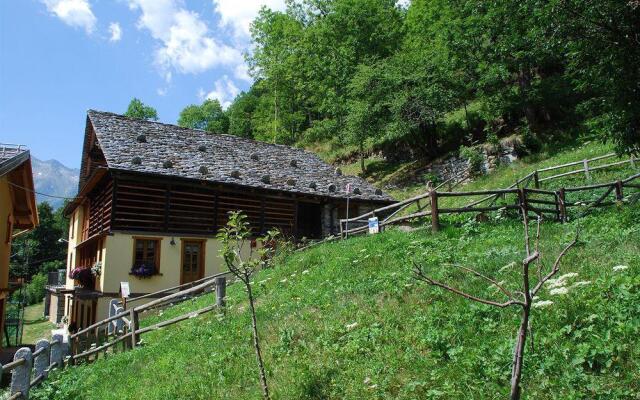 Casalpina Regina Margherita