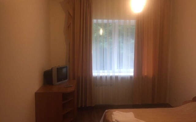 Hotel Solotvyno Resort