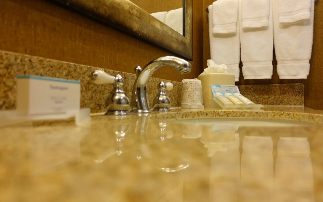 Hilton Garden Inn Houston-Pearland