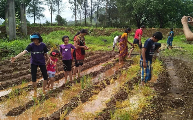 Varenya Agro Resort