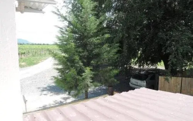 Shaloshvili's Cellar Hotel