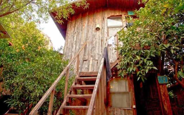 Bayrams Tree Houses