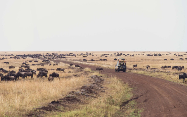 Mara Serena Safari Lodge