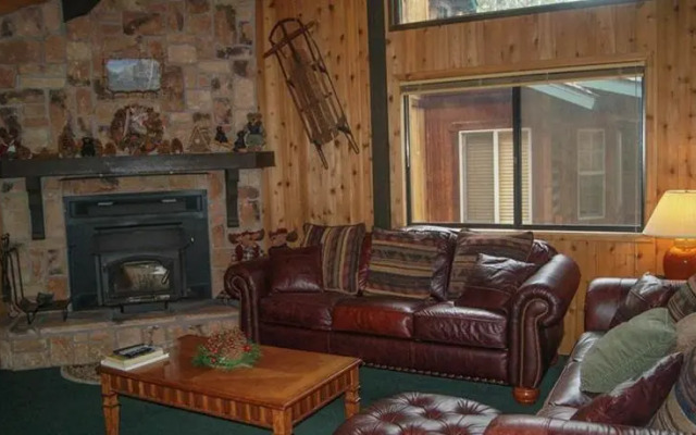 RedAwning Its About Bears #544