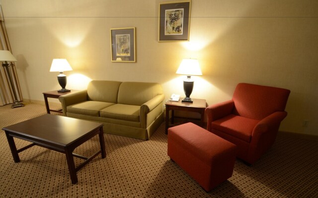 Holiday Inn Lubbock-Park Plaza
