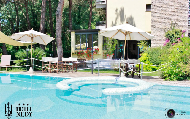 Hotel Nedy