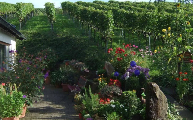 Pension am Weinberg Heidi Spinner