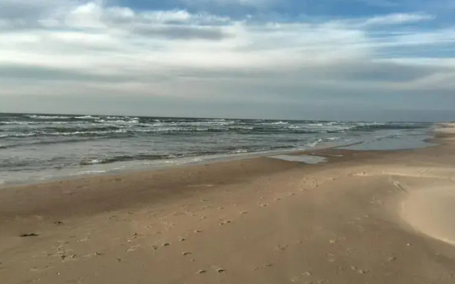 Tomkuva