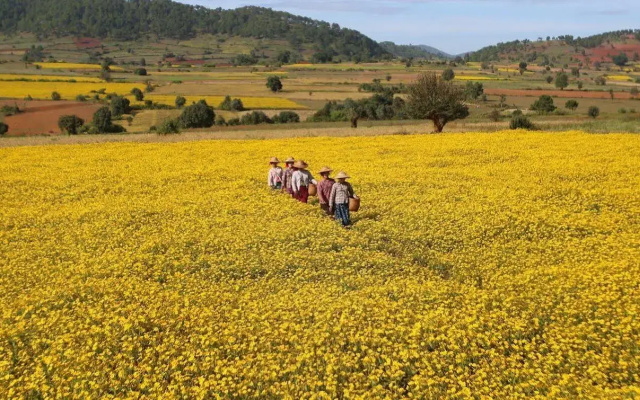 Thanakha Inle Hotel