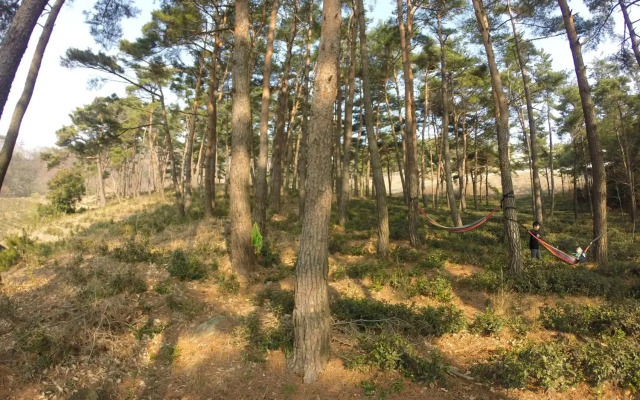 Korean Traditional House - Chungnokdang