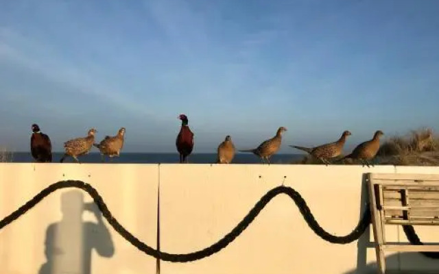 Strandhotel Noordzee