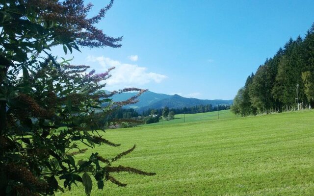 Boutique-Hotel LiebesNesterl Bergwirt