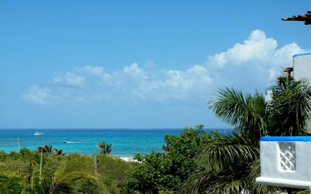 Natz Ti Ha A301 by PRP