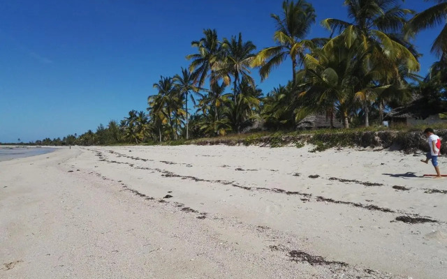 Kilwa Beach Lodge