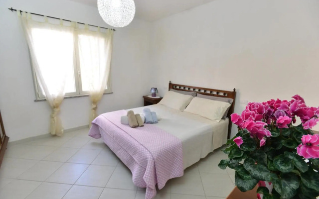 IzzHome Regina Margherita