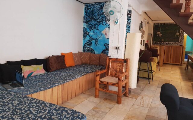 Go Surfari House