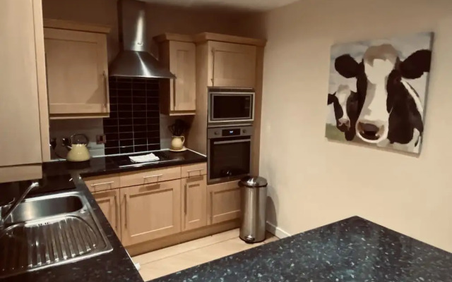 Beautiful 1-bed Apartment in Scarborough