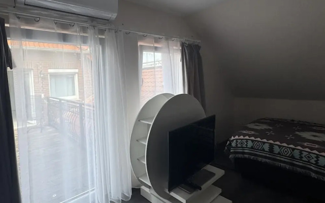 Modern House Gehrden contactless garden