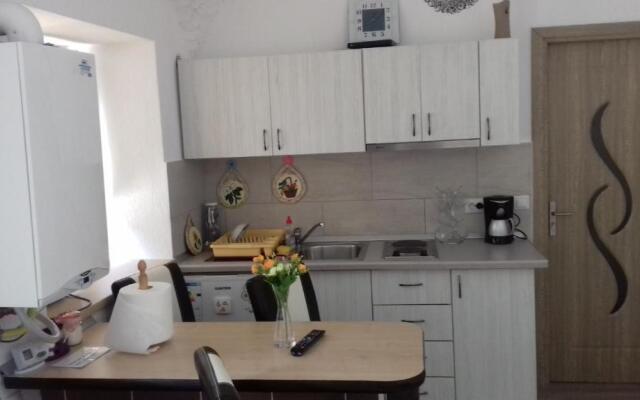 Apartament central V&P