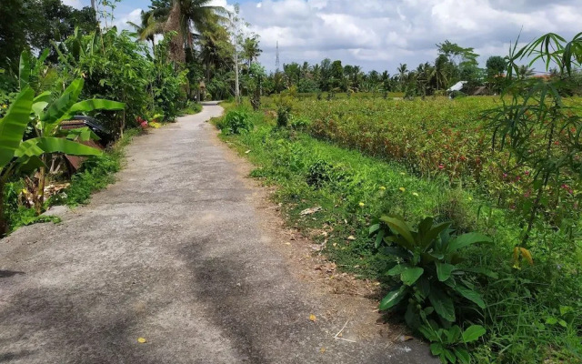 Gopala Villa Ubud