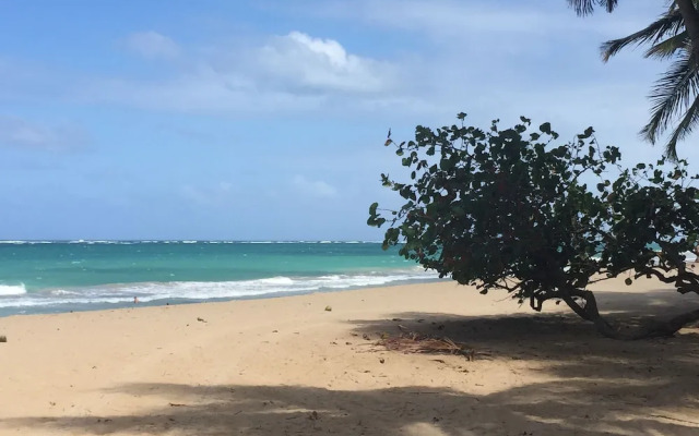 Condado Studio Apt
