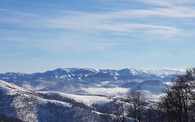 Family Apartment 5 Lux Vidik Kopaonik