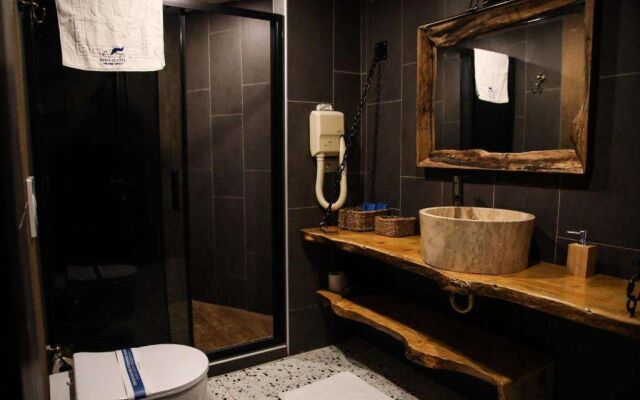 Mavi At Hotel Blue Horse