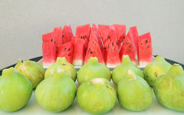 TerraSole Bakery B&B