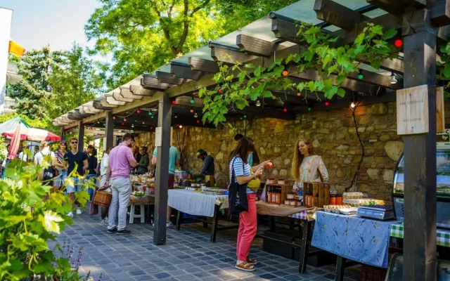 Cozy Apartment with Garden in the Castle District