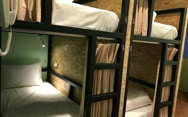 Tourist Bunny - Hostel