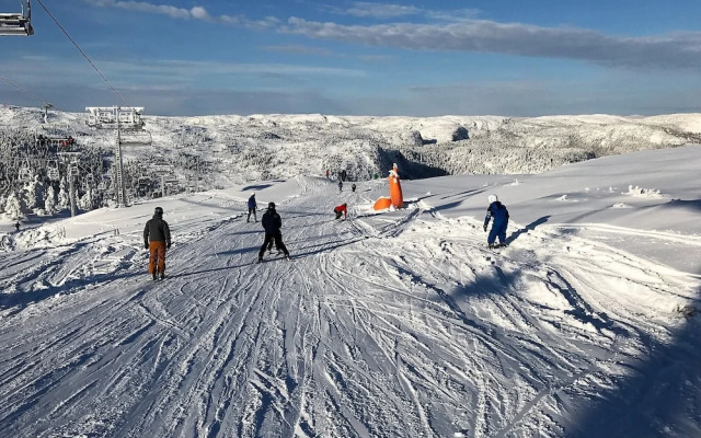Ski Lodge & Apartments Gautefall