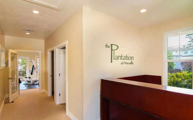 Plantations #1122
