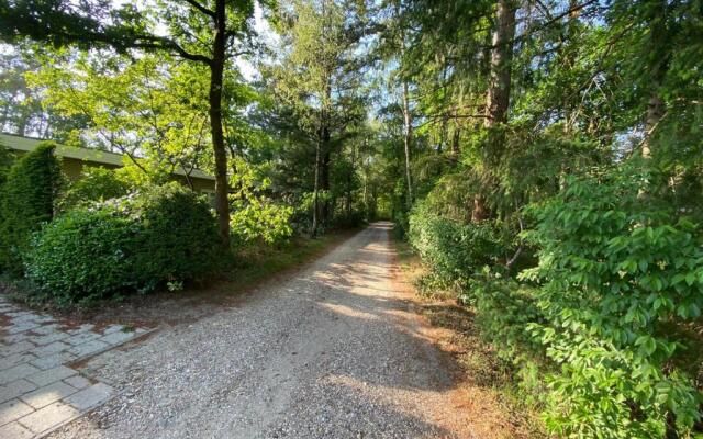 Comfortabel tot rust komen in het Veluwse bos