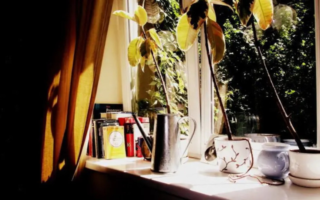 Silver Wolf Apartments