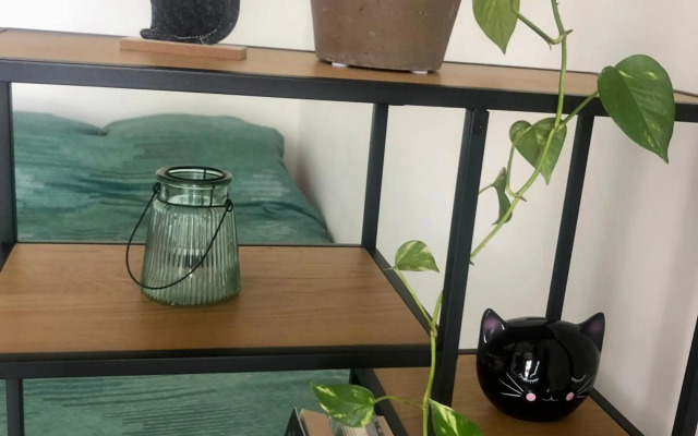 Pri piratski mački - At the pirate cat - Dal gatto pirata