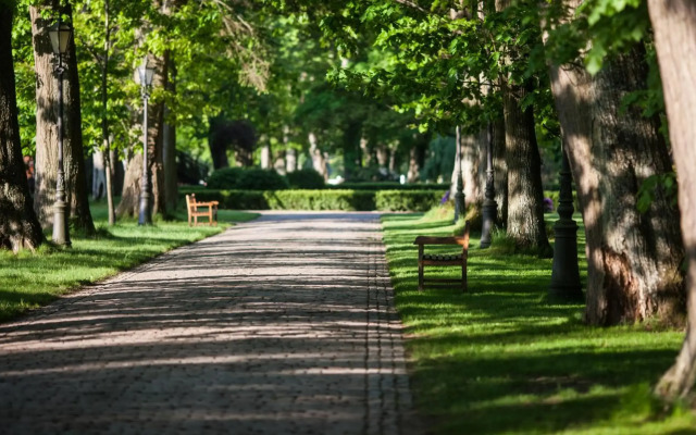 Pałac Ciekocinko Hotel Resort & Wellness