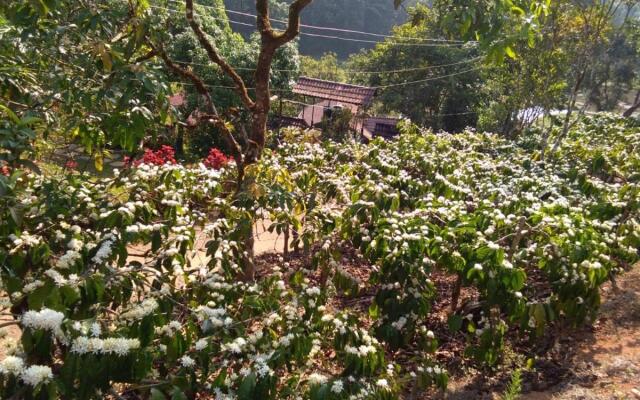 Three Hills Coorg