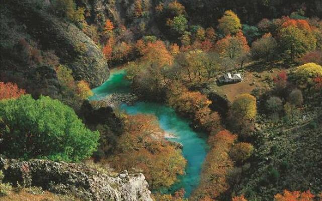 Amanitis