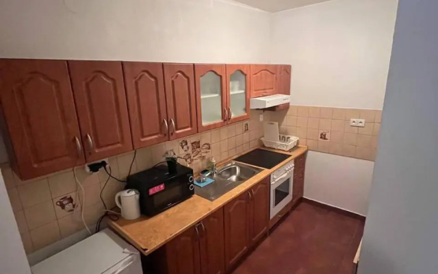 Apartment Spolkova