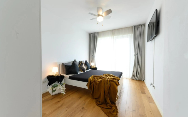 North Artistique - Aviatiei