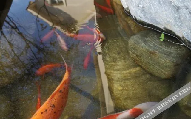 Dongshan No.92 Hot Spring Courtyard