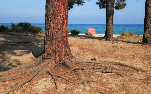 Camping U Casone