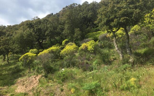 AppartArbus white suite