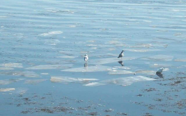 Sals Bed and Breakfast by the Sea